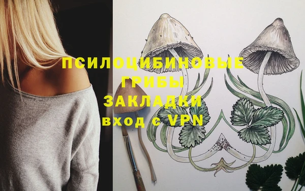 скорость Бронницы
