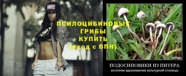 эйфоретик Верея