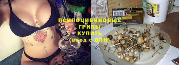 трава Бугульма